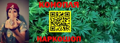 стафф Пугачёв